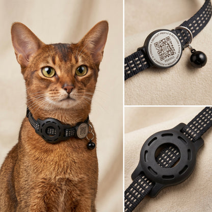 feli. — Le collier de sécurité tout-en-un pour chat